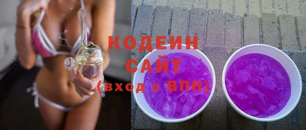 хмурый Верхний Тагил