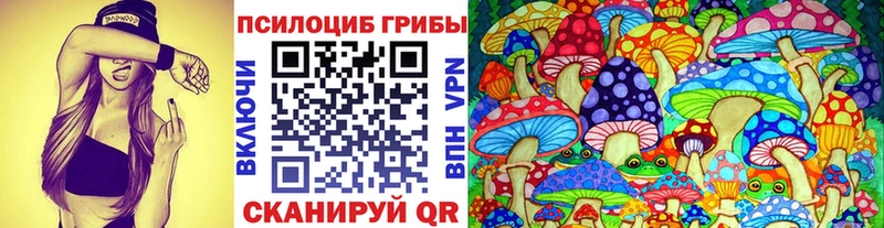 Купить где  Спасск-Рязанский  Псилоцибиновые грибы ЛСД 